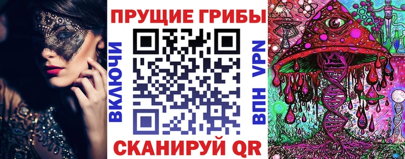Галлюциногенные грибы прущие грибы  Бабаево 